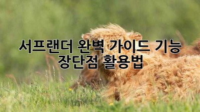 서프랜더 완벽 가이드: 기능, 장단점, 활용법